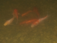 dscf0722